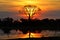 Sunset in the Okavango delta at sunset, Botswana