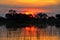 Sunset in the Okavango delta at sunset, Botswana