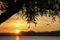 Sunset with olive trees on the Bardolino lake promenade