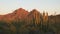 Sunset at organ pipe cactus national moument in the ajo mnts