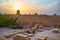 Sunset over adobe city, Yazd, Iran