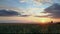 Sunset over agricultural green field - time lapse