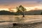 Sunset over alone tree in Wanaka water lake