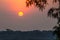 Sunset over Amazon Jungle canopy