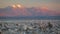 Sunset over Atacama salar and Chaxa lagoon with flamingoes feeding