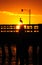 Sunset over bird on pier