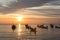 Sunset over boats in Koh Lanta in Thailand