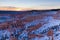 Sunset over canyon slopes covered in snow, Bryce Canyon National