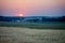 Sunset over corn field, summer evening