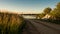 Sunset over the country road, meadow and lake