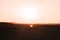 Sunset over the desert: A breathtaking display of golden hues transforms the landscape, evoking a sense of serenity and