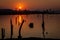 Sunset over dry trees, Nam Theun river, Thalang, Thakhek, Laos