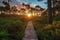 sunset over duckboards path in forest