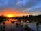 Sunset over dutch heathland