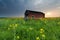 Sunset over farmhouse on rapeseed flower field