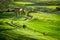 Sunset over farmhouse in Tuscany located on a hill