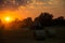 Sunset over farmland, Germany