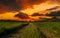 Sunset over a field with green grass and dark clouds in the sky