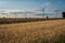 sunset over field with oat and wind turbines