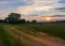 Sunset over a field - strawberry, evening sky