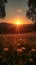 Sunset over the field, sunset over a meadow filled with flowers, casting long shadows and a warm glow over the landscape