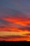 Sunset over the forest. beautiful multi-colored sky with bright streaks. Vertical shot