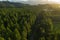 Sunset over forest, Rotorua, New Zealand