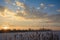 Sunset over the frozen Tisa river covered with snow