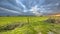 Sunset over gate in lowland meadow