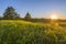 Sunset over Grassy Green Field