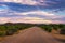 Sunset over the gravel road C35 in Damaraland, Namibia