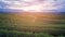 Sunset over green tea plantation over high land skyline