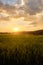 Sunset over the greeny farmland at the old wooden farmland, Sunbeams through the cloud as a sunset