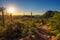 Sunset over hiking trail in Saguaro National Park in Arizona