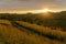 Sunset over hilly fields in summer in Bashkiria