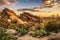 Sunset over Javelina Rocks in Saguaro National Park