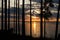 Sunset over the lake in a pine forest. Bright colors of the evening sky