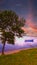 Sunset Over the Lake with a Tree Silhouette and a Boat n an Oil Painted. Text to Symphony