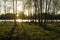 sunset over the lake Valdai