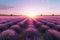 Sunset over lavender field. Generate Ai