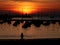 Sunset over the lighthouse of the port of Pornichet and walkers.