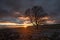 Sunset over Lone Tree, Yorkshire Dales