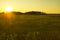 Sunset over marsh grasses, Meigs Point, Hammonasset Beach, Madis