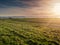 Sunset over a meadow. Green grass, soft evening lighting, Sun rays and flare, Warm glow. Blue cloudy sky