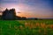 Sunset over meadow and spruce trees at summer evening, sunlight, sky, green grass.Relaxing atmosphere. Countryside landscape.