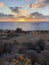 Sunset over the mediterranean sea with bushy landscape on the foreground