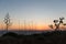 Sunset over the Mediterranean Sea and Gozo Island Agave American