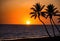 A sunset over the ocean with palm trees silhouetted against the sky.