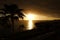 Sunset over ocean and palms silhouette