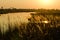 Sunset over the Okavango Delta in Botswana